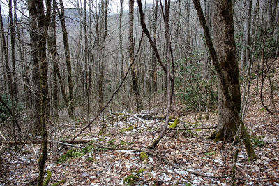 1824 Black Rock Rd Maggie Valley, NC 28751