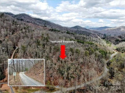 Big Oak Springs Rd Sylva, NC 28779
