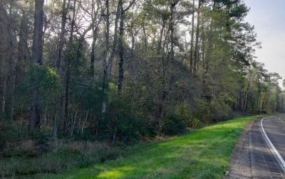 1008 Off Fm, Dayton, TX, USA