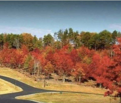 29 Hickory Loop Road, Rutherfordton, NC, USA