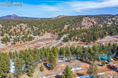 257 Mesa Dr Florissant, CO 80816