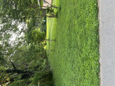 709 North Wilder Avenue, Rockwood, TN, USA