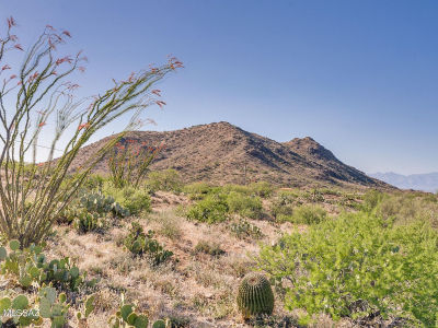 11922 E Camino Aurelia #11922 Vail, AZ 85641