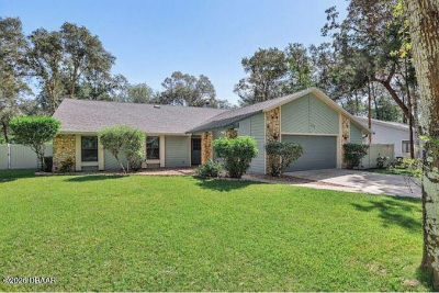 317 Oak Fern Cir Ormond Beach, FL 32174