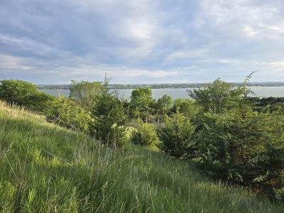 LOT 11 Lake Forest Dr Tabor, SD 57063