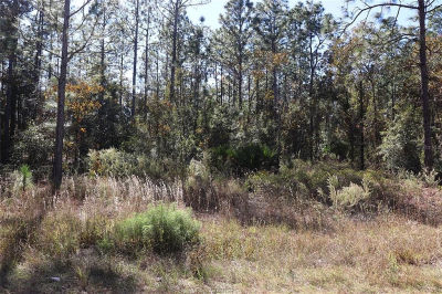 SW 131st Cir LOT 11 Ocala, FL 34481