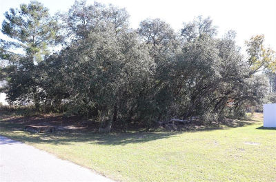 SW 157th St LOT 17 Ocala, FL 34473