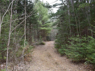 8697 E Town Line Rd Hawthorne, WI 54842