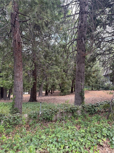 0 Cumberland Dr LOT 5 Lake Arrowhead, CA 92352