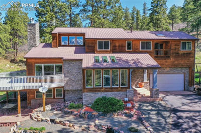 365 Sun Ct Woodland Park, CO 80863