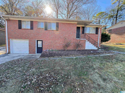 1113 Little John Ln Birmingham, AL 35235