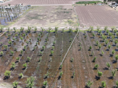 563 Aldaz Rd Anthony, NM 88021