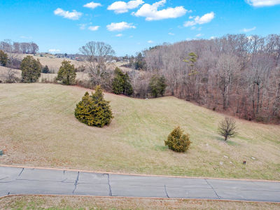 LOT 65 Cow Poke Ln Rutledge, TN 37861