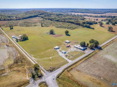 8374 County Road 222 Trinity, AL 35673