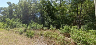 0 SW Starling Dr #4 Dunnellon, FL 34431