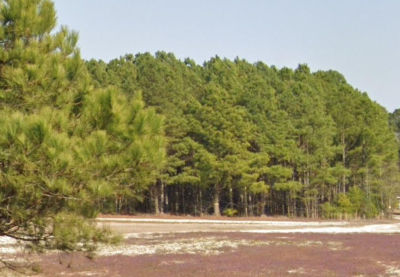 3 Bob Lee Ln LOT 3 Dunn, NC 28334