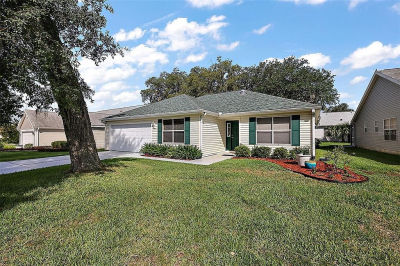 604 Juanita Ct The Villages, FL 32159