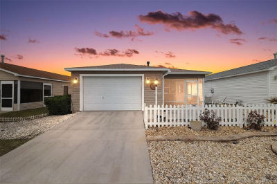 1667 Orr Ter The Villages, FL 32162