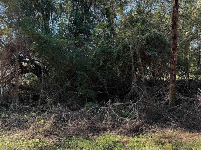 0-TBD2 Ann St Texarkana, TX 75501