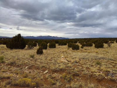 268 Old Abo Trl Mountainair, NM 87036