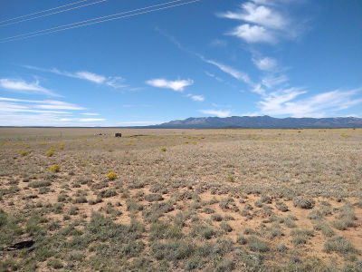 Canta Ranas Rd Mountainair, NM 87036