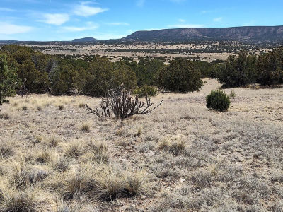 60 Highway Mountainair, NM 87036