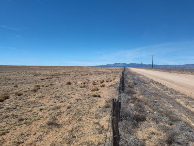 Tracts 1&2 Old Willard Rd Mountainair, NM 87036