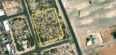 Highway 115 Pyote, TX 79777