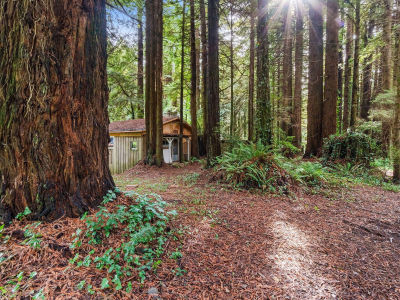 207 Lanford Rd Trinidad, CA 95570