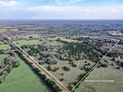 0 Lcr 426 Mexia, TX 76667