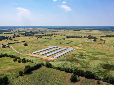 3585 County Road 2701 Tennessee Colony, TX 75861