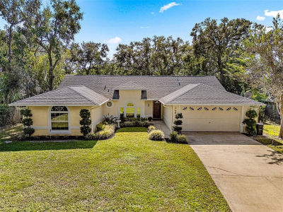 143 Debary Dr Debary, FL 32713