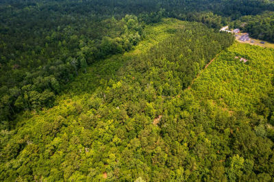 Lot 4 near Palmer's Branch Drive NE