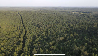 AL-17, Millport, AL, USA