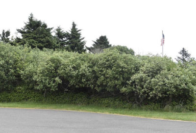 774 Ocean Ct NW, Ocean Shores, WA, USA