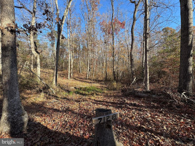 7128 Dominique Dr Spotsylvania, VA 22551