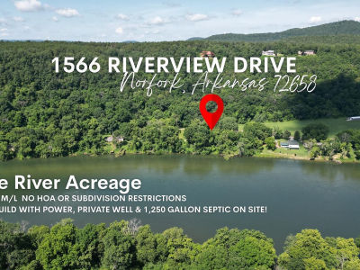 1566 Riverview Dr Norfork, AR 72658