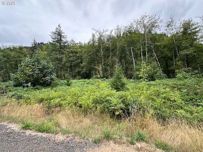 3 N Dubois Rd Ariel, WA 98603