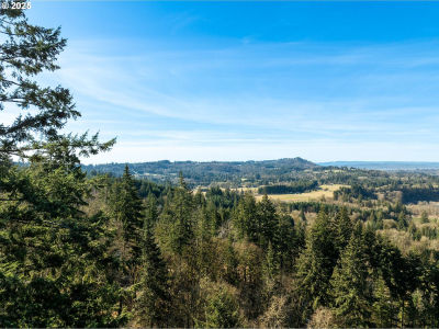 NE Cedar Creek Rd Woodland, WA 98674