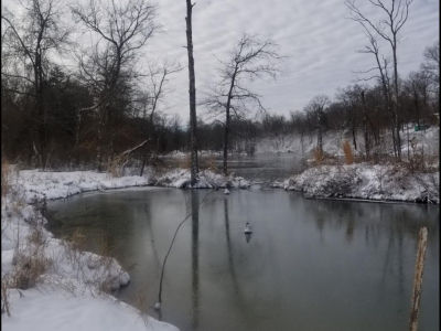 208 Dewmaine School Rd Carterville, IL 62918