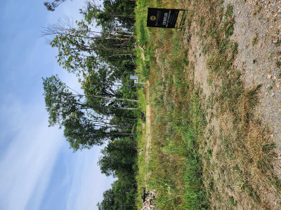 White Pine Lane, Capon Bridge, WV, USA