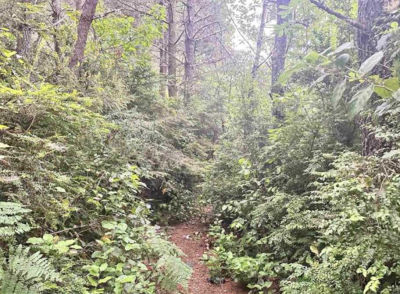 1580 Hermosa Rd, Crescent City, CA, USA