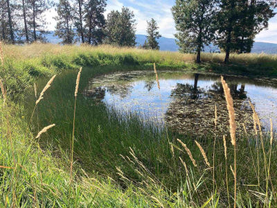 Tukta Way Ln Princeton, ID 83857