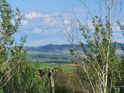 Ken Trl Moscow, ID 83843