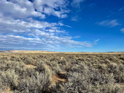 N/a Deep Cut Rd Litchfield, CA 96117