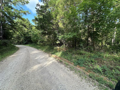 Dickens Loop Livingston, TX 77351