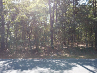 LOT 47 Ward Dr Dudley, NC 28333