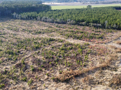 LOT 32 Talton Estates Dr Pikeville, NC 27863