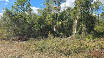 Abernathy Ave Sebring, FL 33875