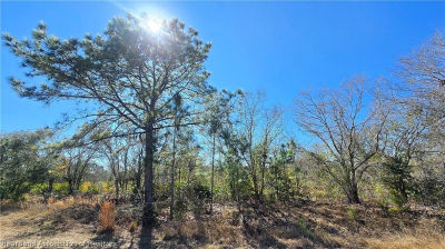 1870 Bear Bryant Rd Avon Park, FL 33825